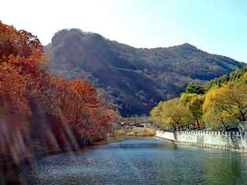 澳门期期准免费精准，大鹏背景